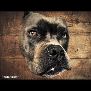 Meet your Posher, Janet